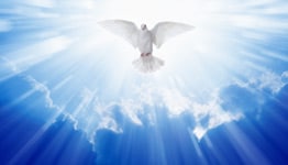 dove flying toward heaven